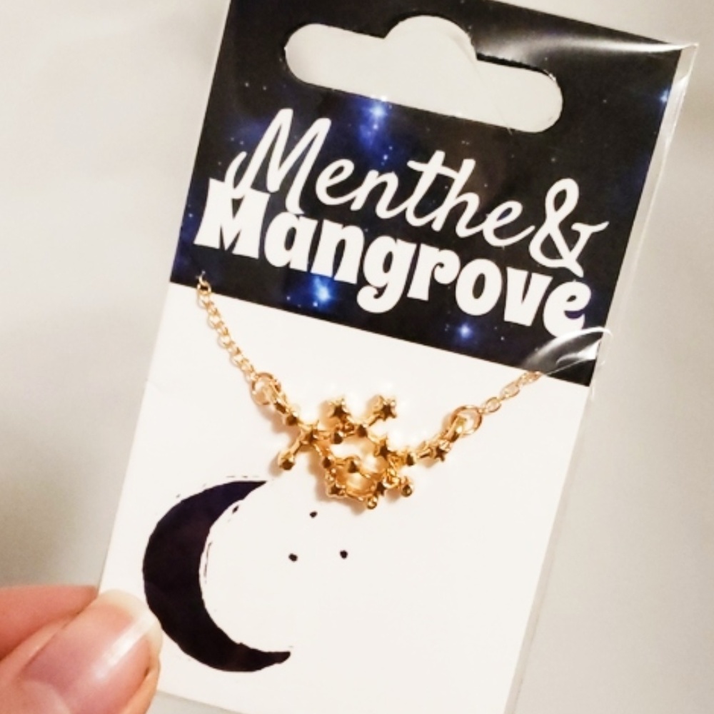 🏷 gemini constellation necklace